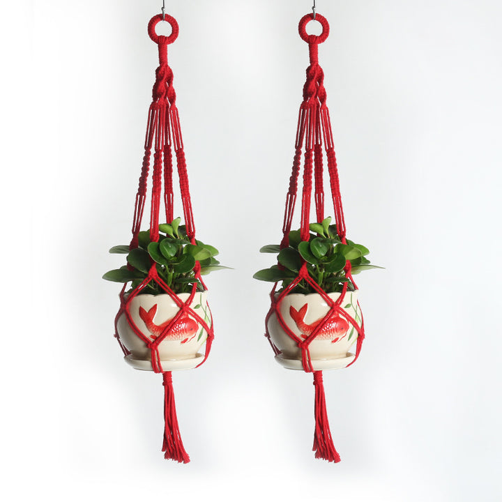 Hanging Plant Pot Hanger Bowlift
