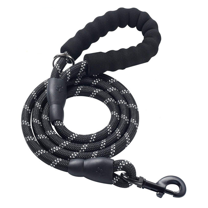 Dog Leash