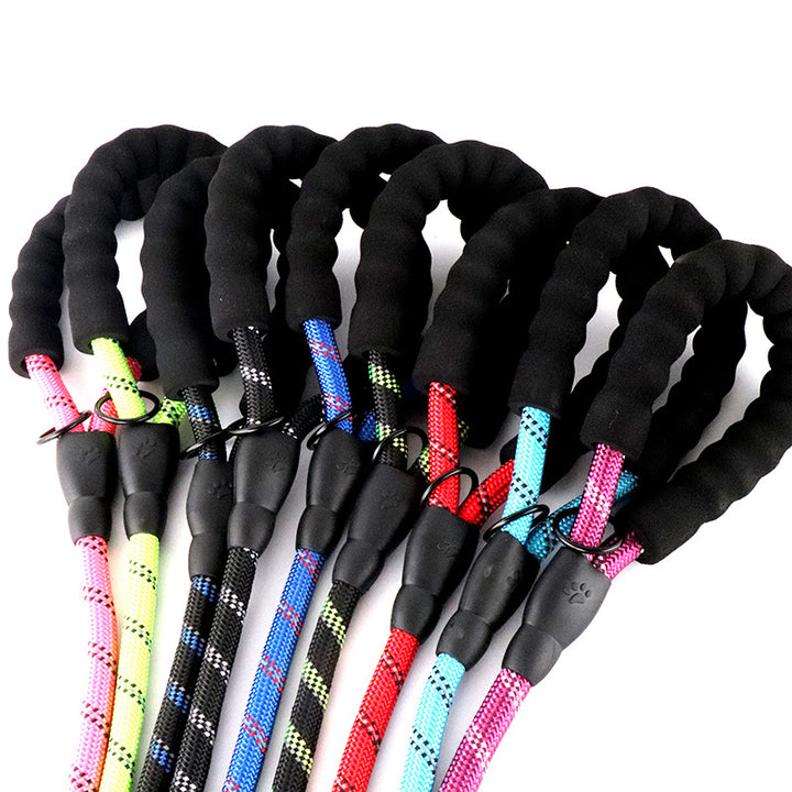 Dog Leash