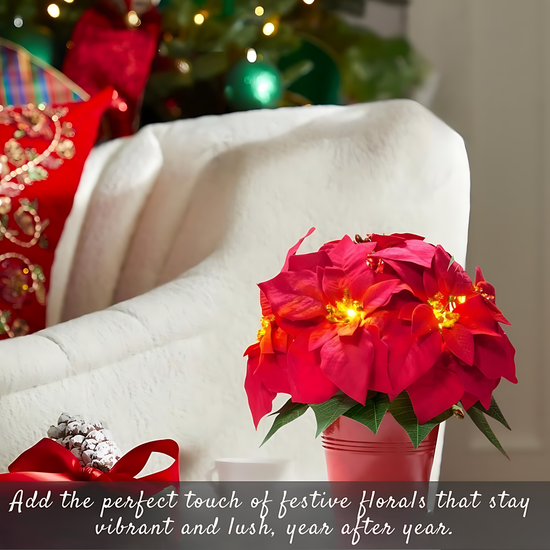 Red Poinsettia - Illuminate Your Holidays with Elegance Bowlift