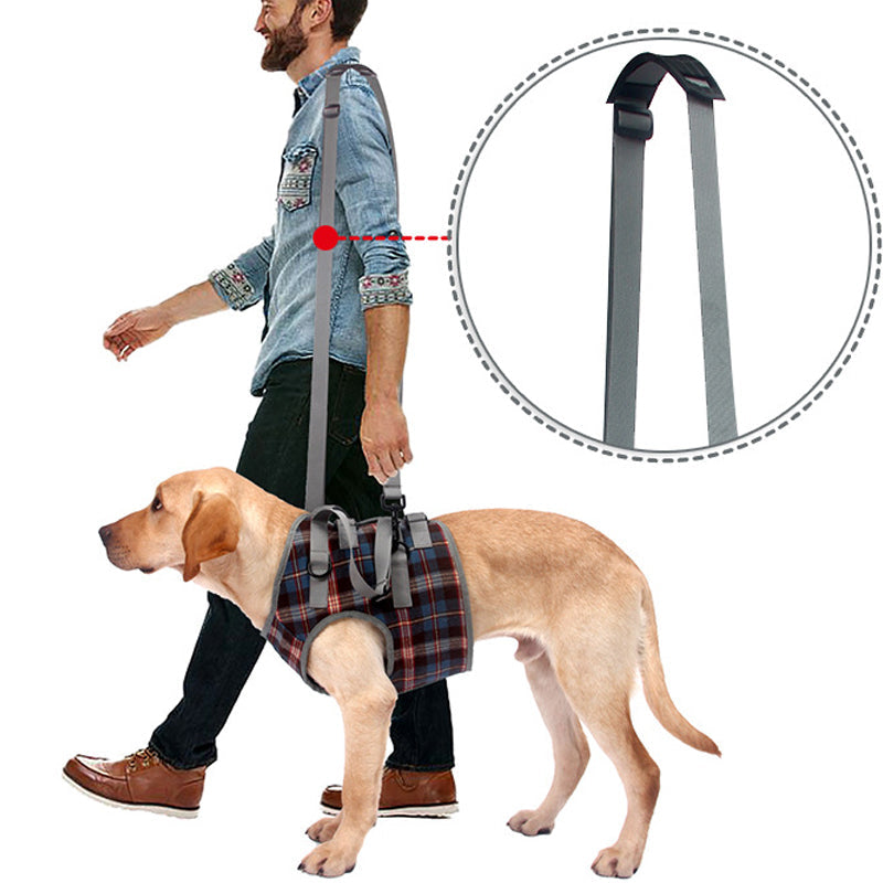 BowLift | Orthopedic Rear Leg Support Harness for Dogs – Ideal for Arthritis, Hip Dysplasia & Mobility Aid