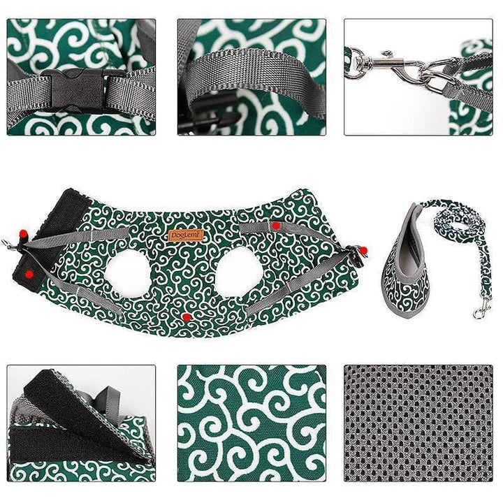 BowLift | Cat vest harness and leash set for walks