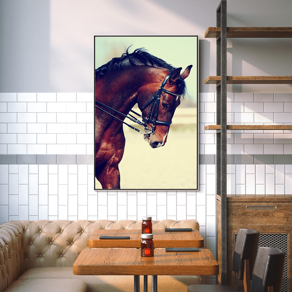 Graceful Haltered Horse - Canvas Wall Art Painting | Bowlift