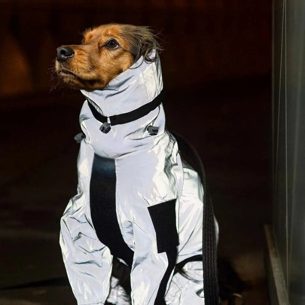BowLift | Waterproof Dog Coat with Legs – Reflective Dog Rain Jacket for Small & Large Breeds | Best Rain Coat for Dogs UK