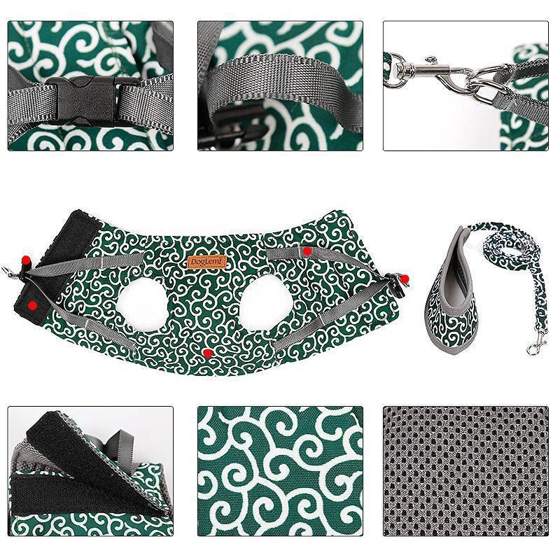 Collar jacket and leash for cat | Bowlift