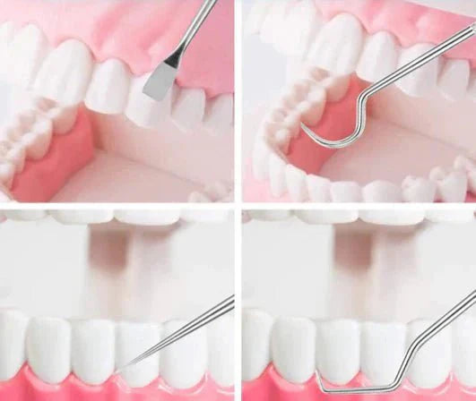 BowLift | Improve your oral hygiene - Maintenance kit - Stainless fabrics - Environmentally friendly and durable