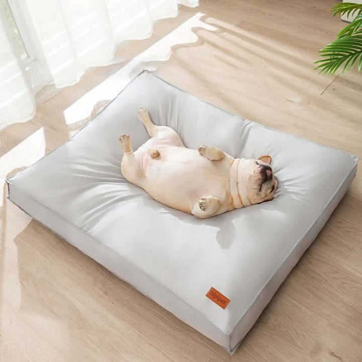 BowLift | PAWLUX - Waterproof dog cushion