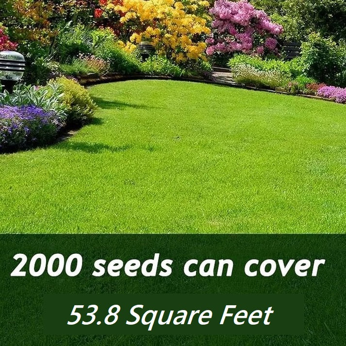 BowLift | MiniSprout Year-Round Greenery