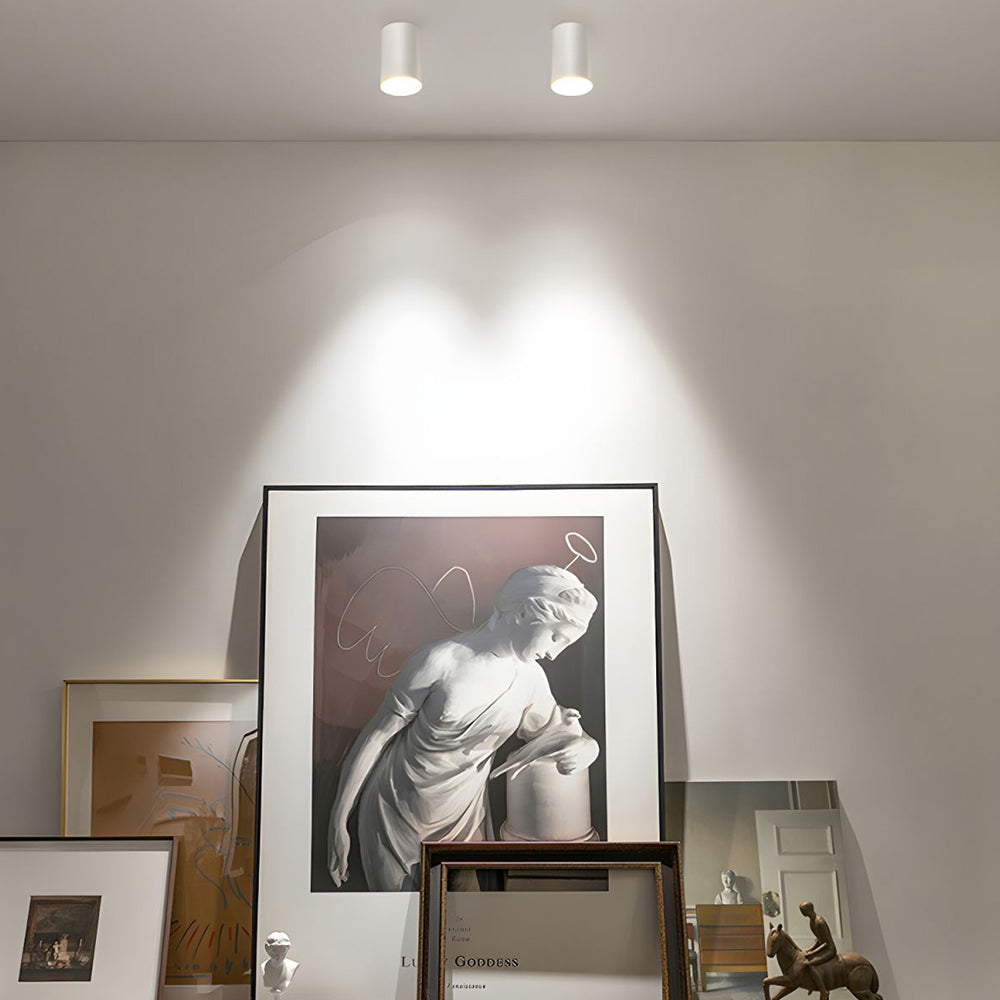 BowLift | Ceiling Light Modern Aluminum LED Downlight