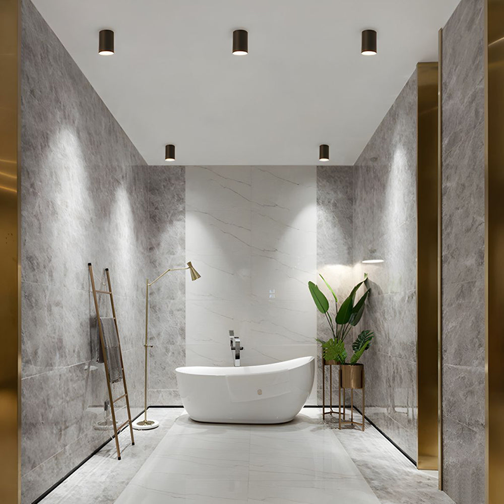 BowLift | Ceiling Light Modern Aluminum LED Downlight