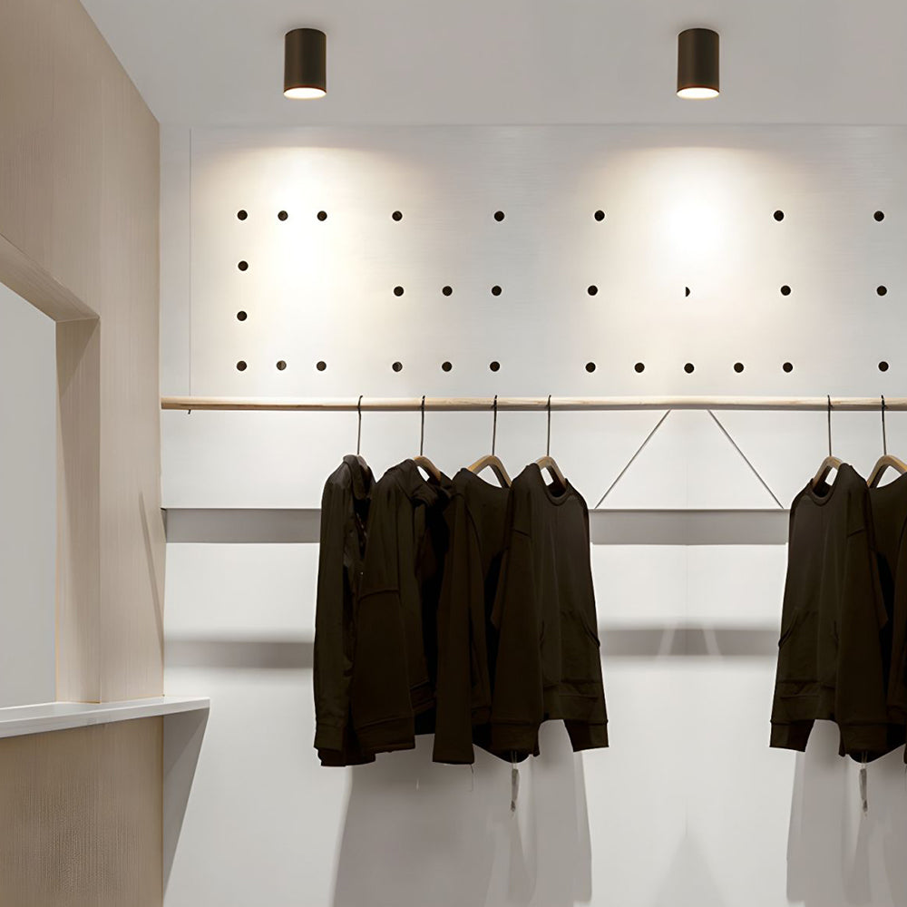 BowLift | Ceiling Light Modern Aluminum LED Downlight