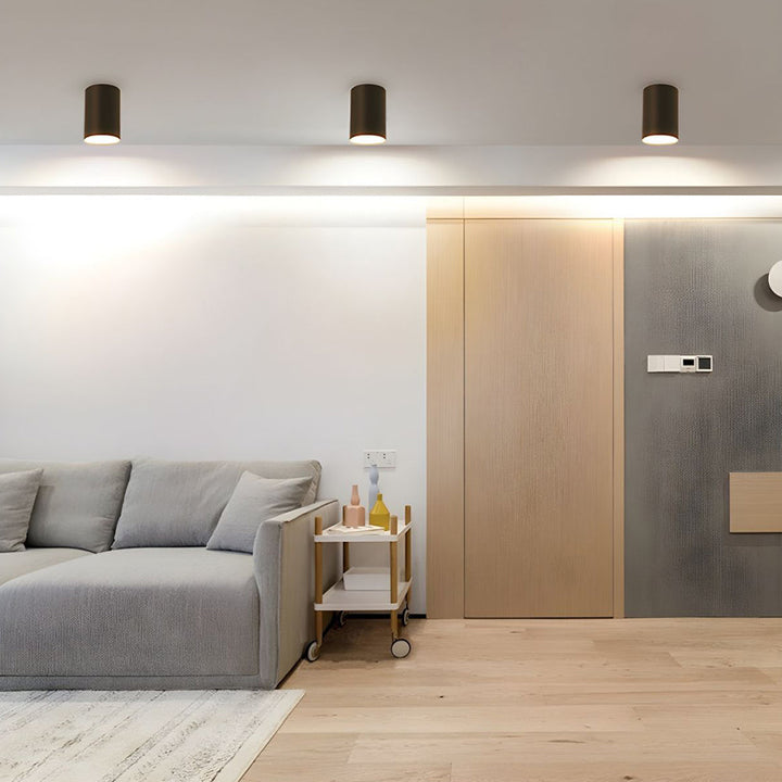 BowLift | Ceiling Light Modern Aluminum LED Downlight
