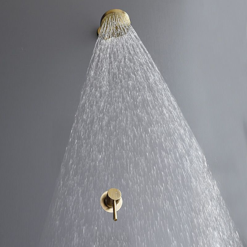 BowLift | Stainless Steel Shower Combination Round Fixed Shower Head with Shower Arm