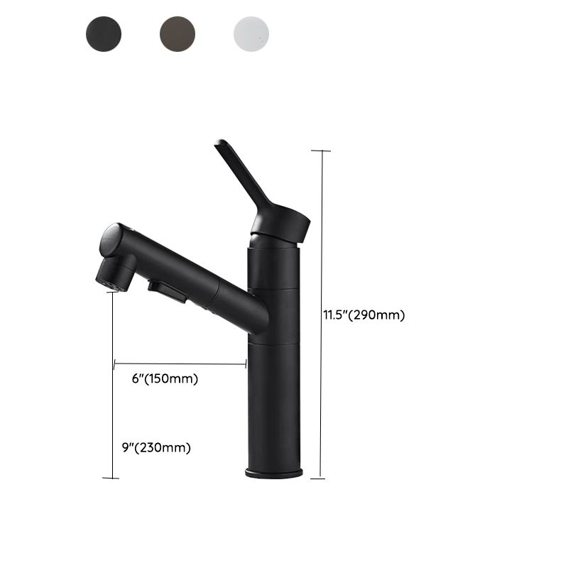 BowLift | Bathroom Vessel Faucet Swivel Spout Single Handle Faucet with Pull-Out Spray Head