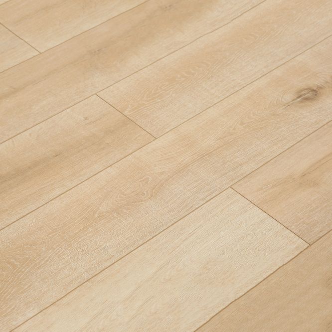 BowLift | Contemporary Laminate Flooring Light Color Wood Laminate Flooring