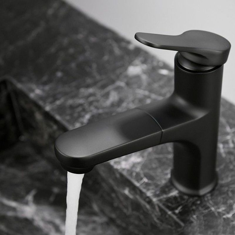 BowLift | Contemporary Style Faucet Single Lever Mixer with Swivel Spout