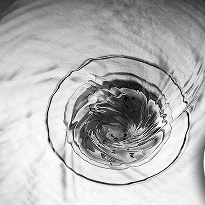 BowLift | Contemporary Single Bowl Kitchen Sink Round Stainless Steel Sink with Drain Strainer Set