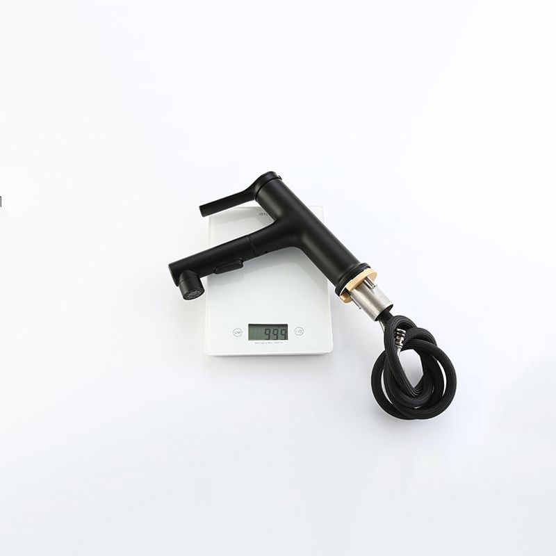 BowLift | Modern Sink Faucet Copper Single Handle Low Arc Pull-Out Sink Faucet