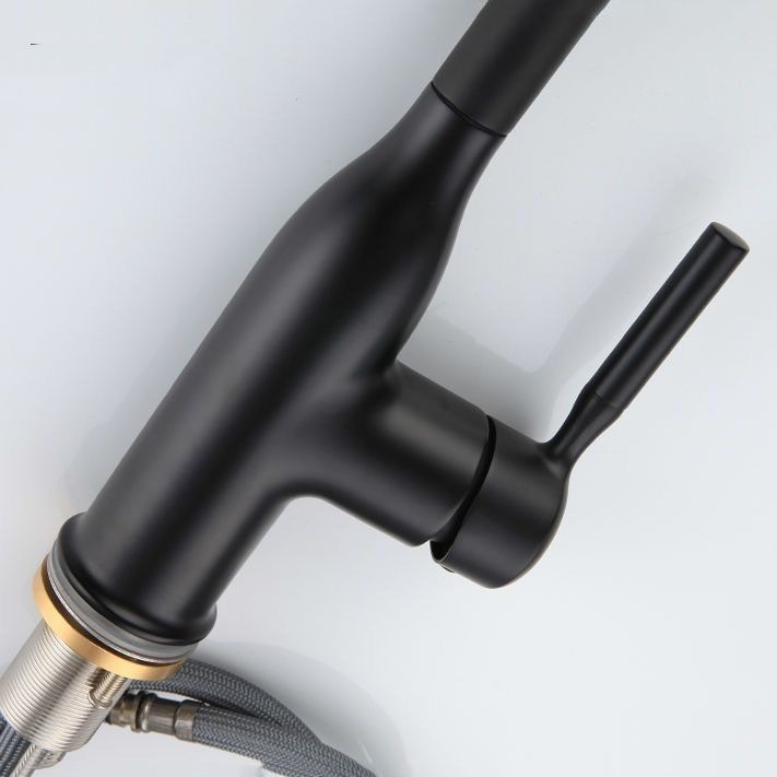 BowLift | Modern Pull-down Water Filler Single Handle High Arc Kitchen Faucet