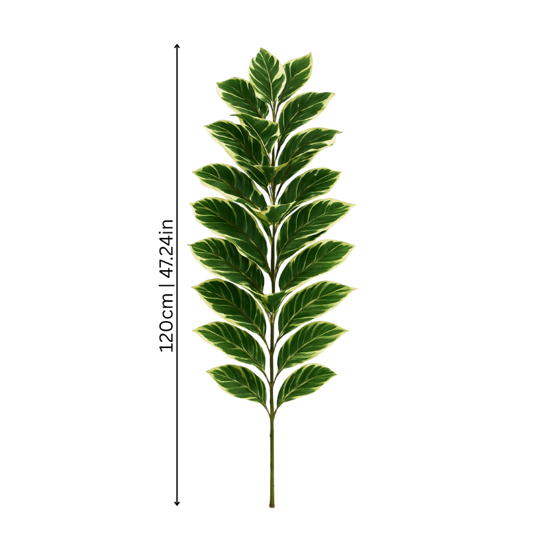 BowLift | FicusFake