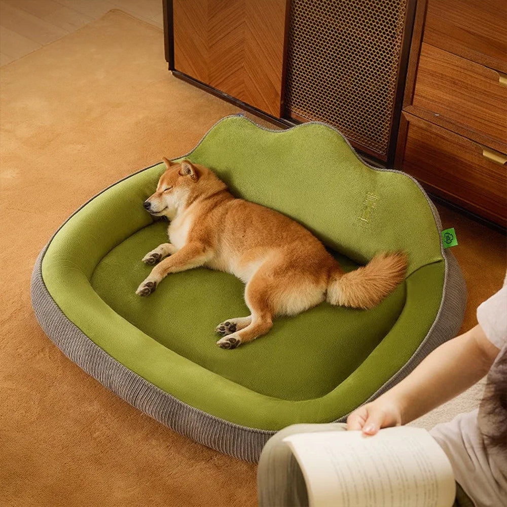 BowLift | Ideal place for a cat to relax