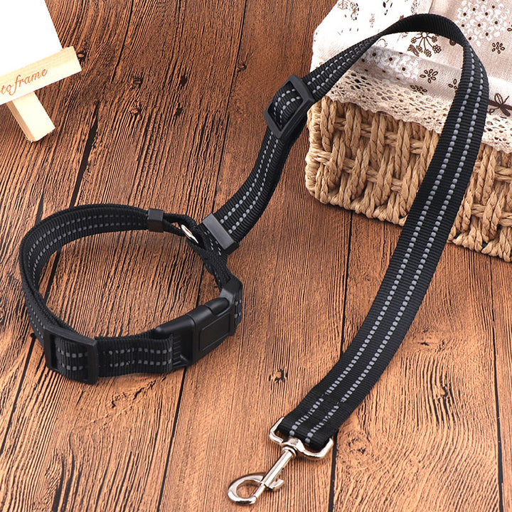 Adjustable Dog Harness and Leash