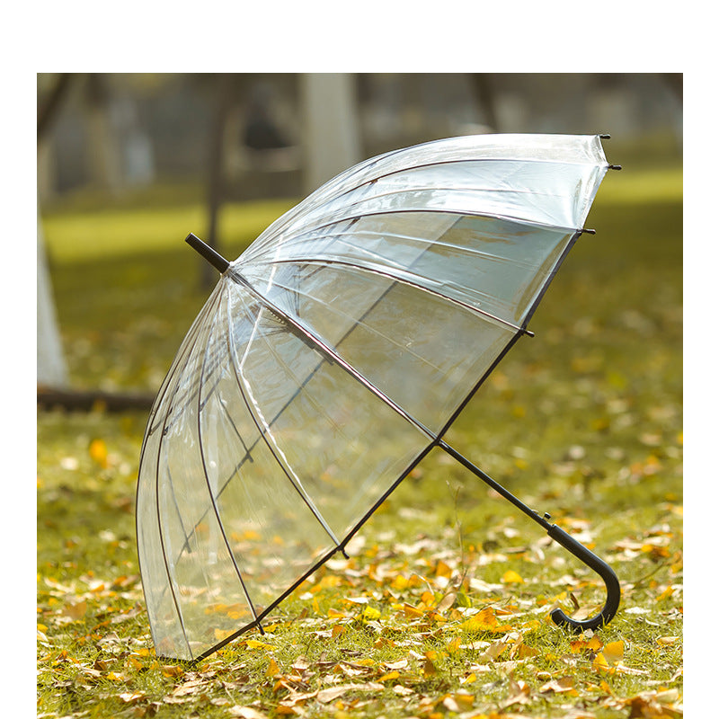 Women transparent umbrella with elegant design Bowlift