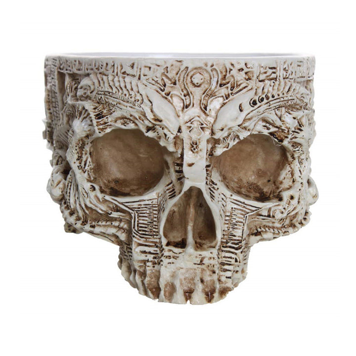 Decorative Skull Planter