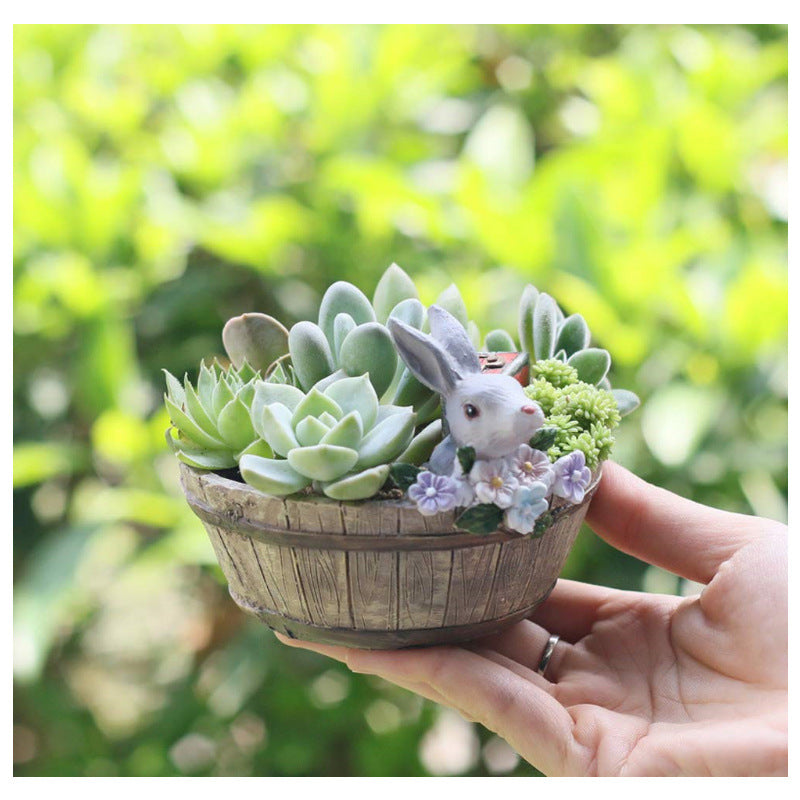 Decorative Succulent Planter