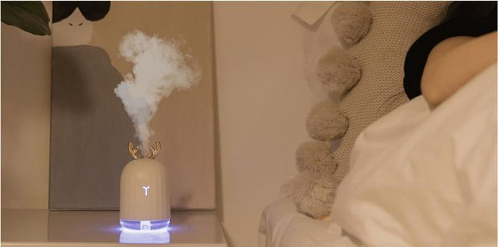 Aroma Essential Oil Diffuser | Bowlift