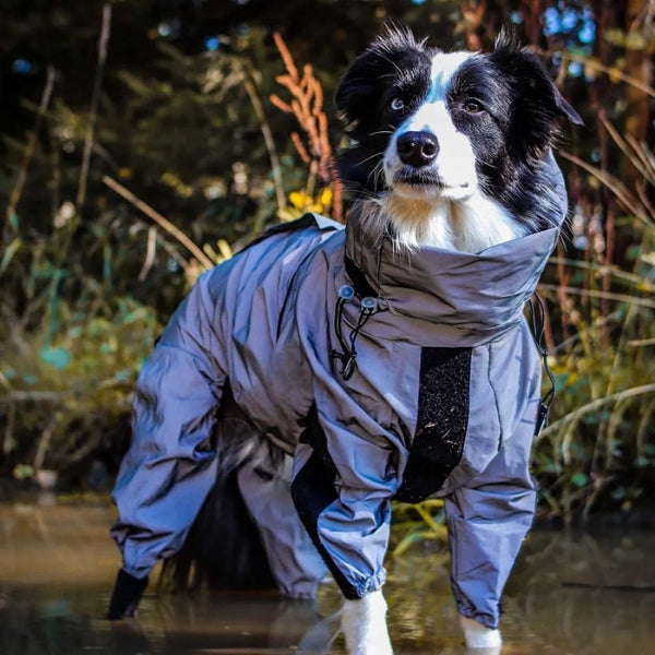 BowLift | Waterproof Dog Coat with Legs – Reflective Dog Rain Jacket for Small & Large Breeds | Best Rain Coat for Dogs UK