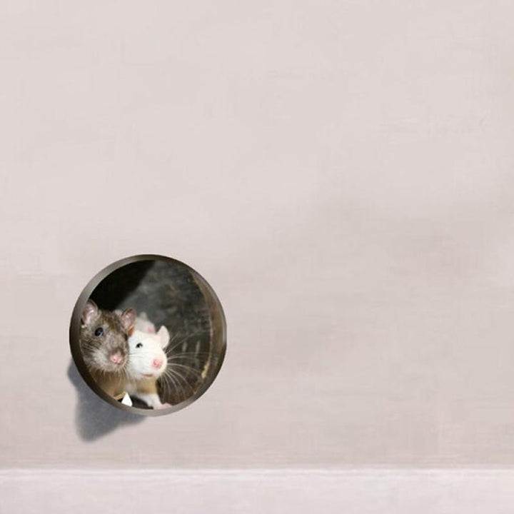 BowLift | Realistic 3D Mouse Hole Wall Sticker