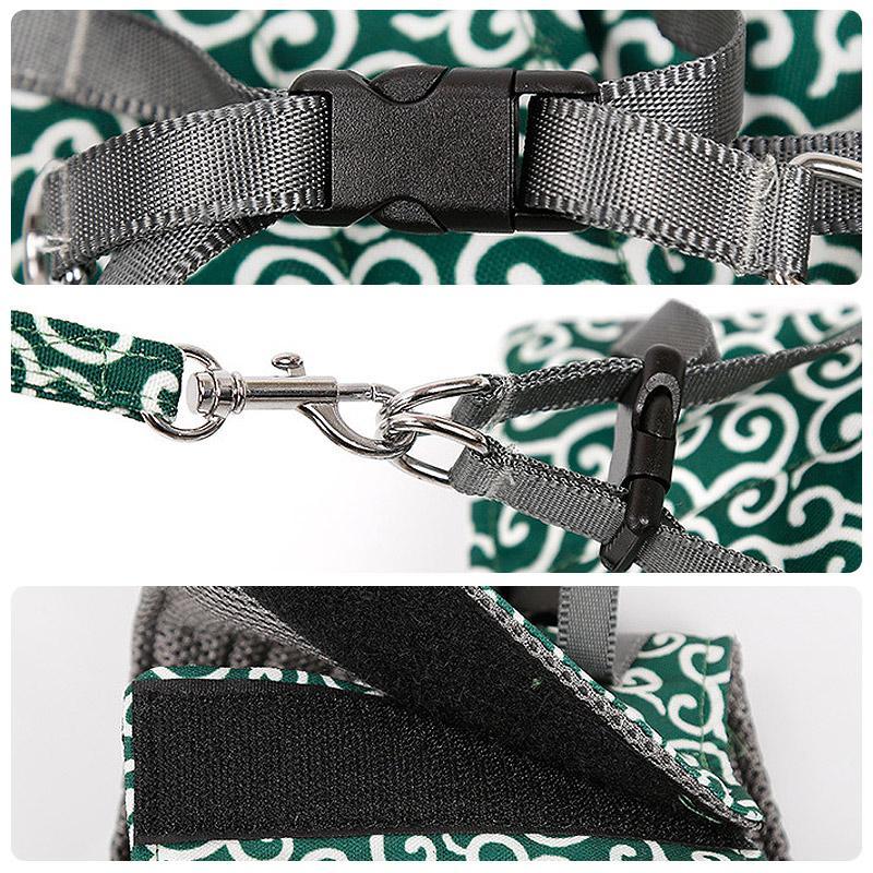 Collar jacket and leash for cat | Bowlift