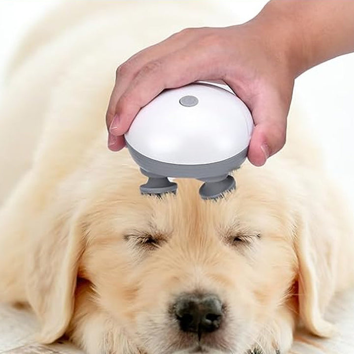 Mini Head Massager, available for pets and people | Bowlift