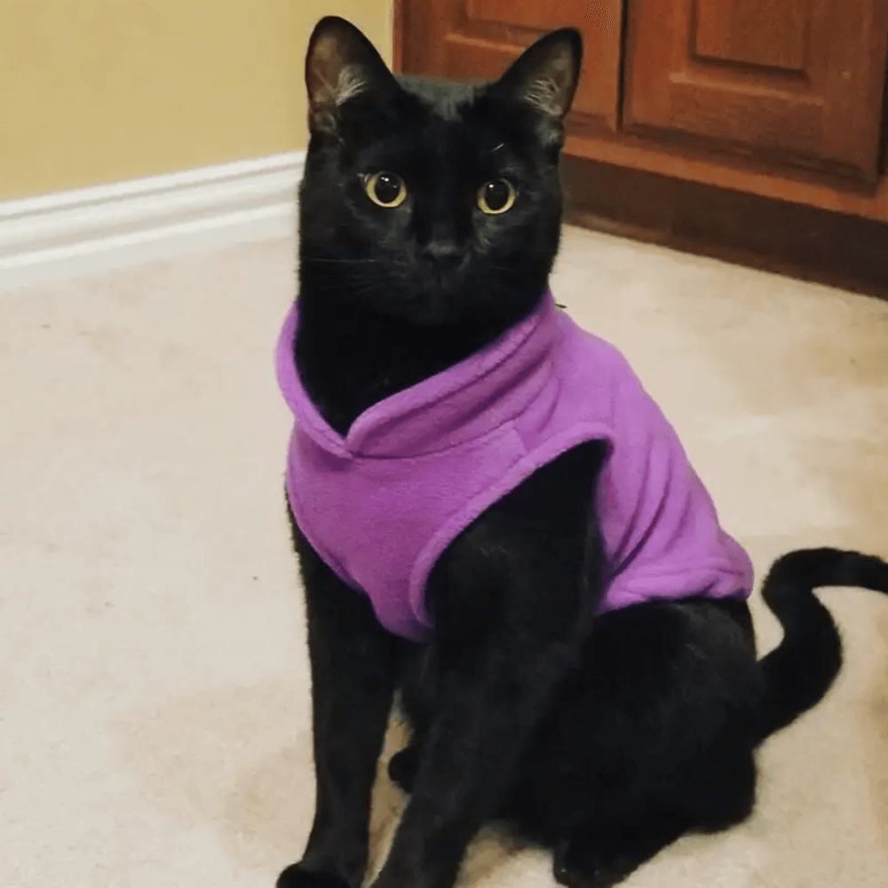 Warm & Cozy Fleece Dog Vest