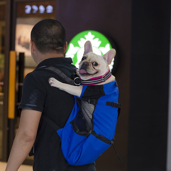 BowLift | Dog Backpack – Comfortable Carrying Bag for Medium Dogs with Safety Strap and Storage Pockets