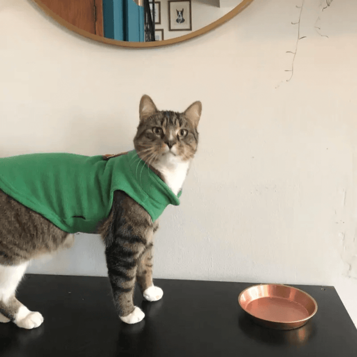 Warm & Cozy Fleece Dog Vest