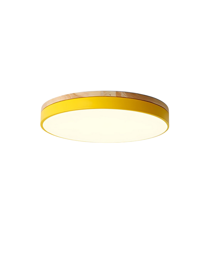 BowLift | Modern Ceiling Lamp with Nature-Inspired Shape