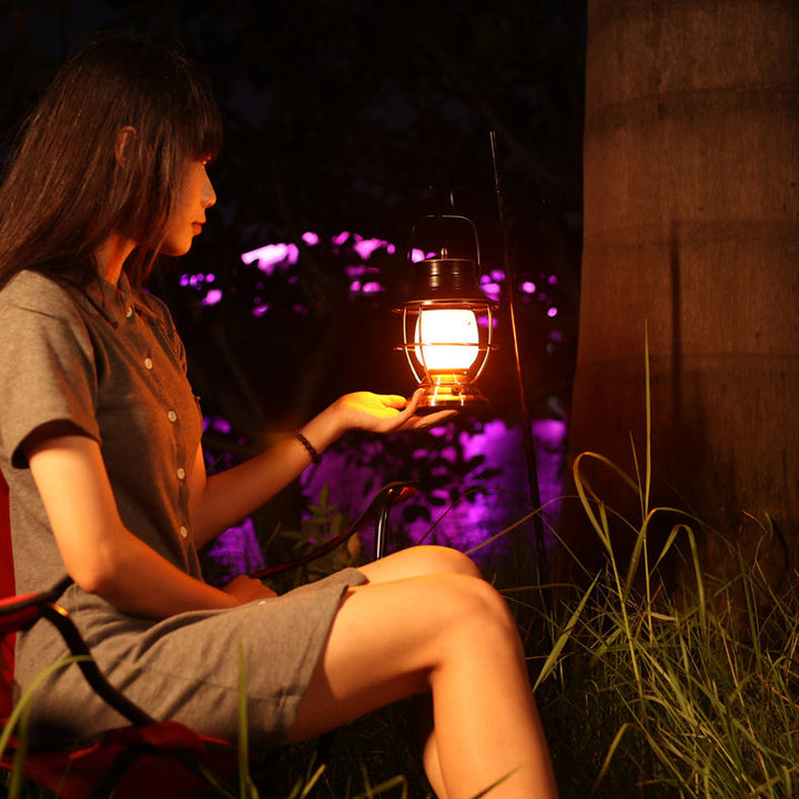 Traditional Farmhouse Waterproof Rechargeable Iron Acrylic Cylinder LED Table Lamp For Entertainment Room | Bowlift