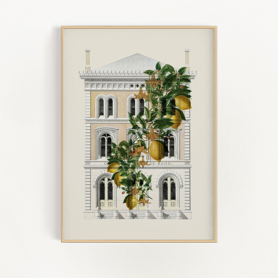 Lemony Hous of Bank | Bowlift