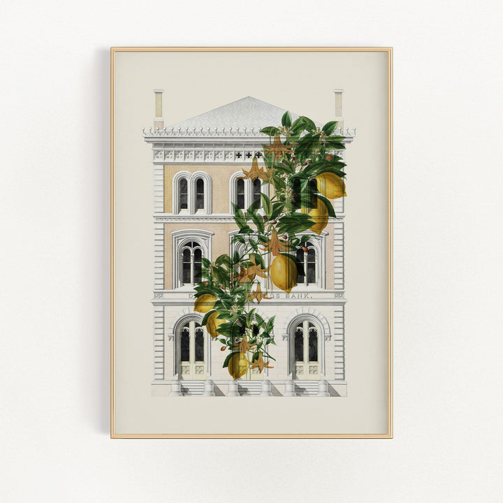 Lemony Hous of Bank | Bowlift