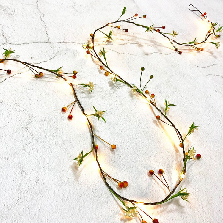 BowLift | Rattan Fruit Copper Wire Decoration 20 Light Battery String Lights