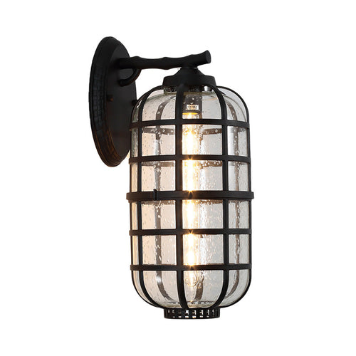 BowLift | Caged Seeds Glass Wall Mounted Lamp Industrial Single Bulb Outdoor Sculpture Light in Black/Bronze, 5.5
