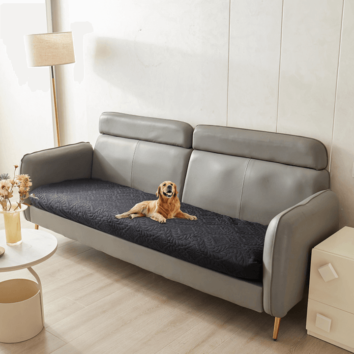 Versatile Moisture-Proof Dog Mat