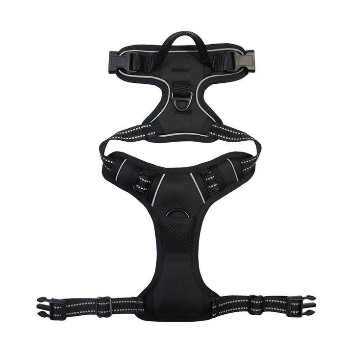 3-in-1 Pet Walking Kit | Bowlift