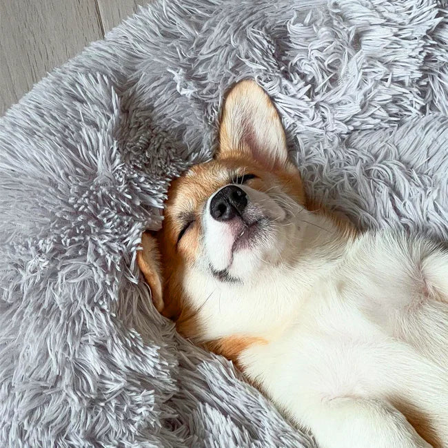 BowLift | Orthopedic Plush Donut Dog Bed