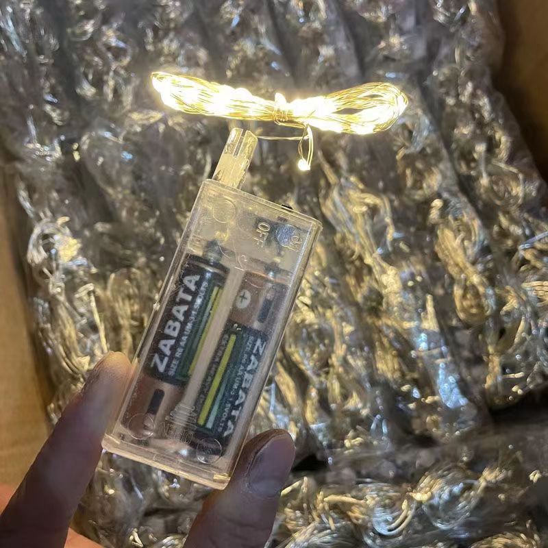 LED Copper Wire String Lights with Battery Box