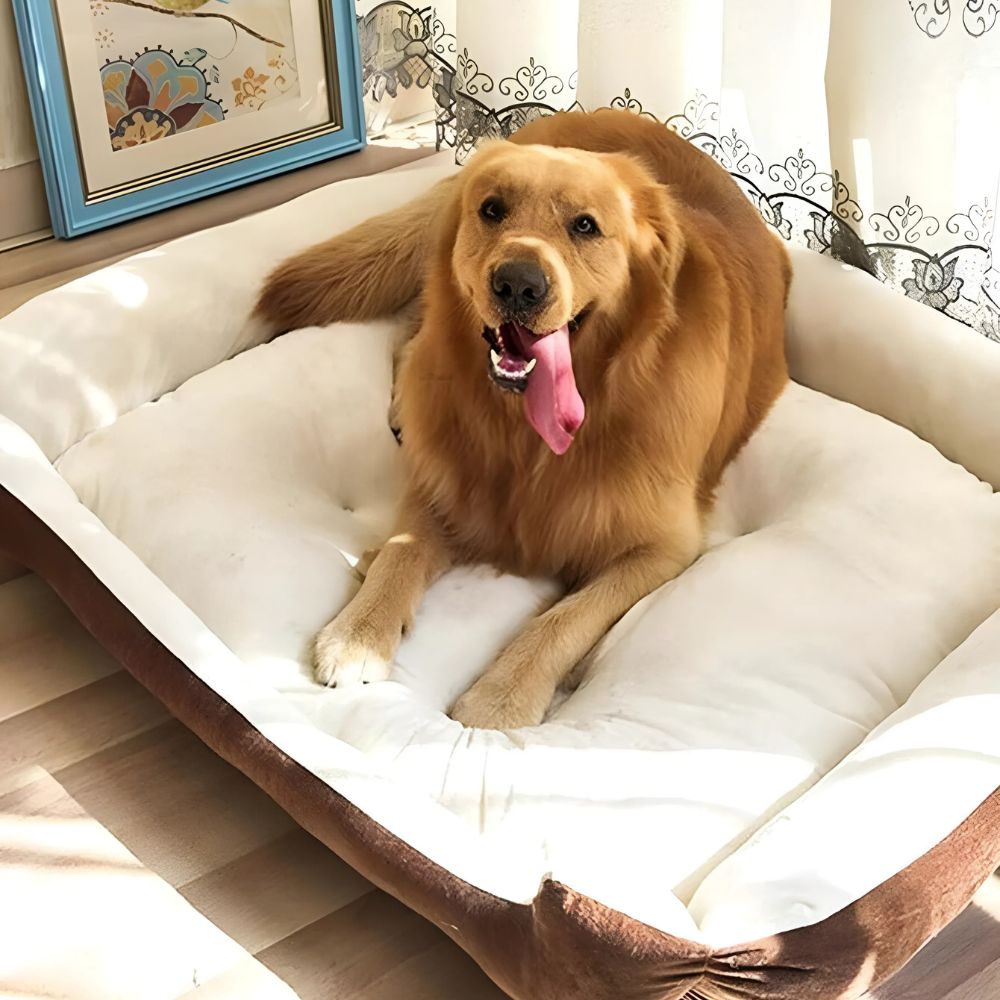 BowLift | Fluff Zone Pet Bed