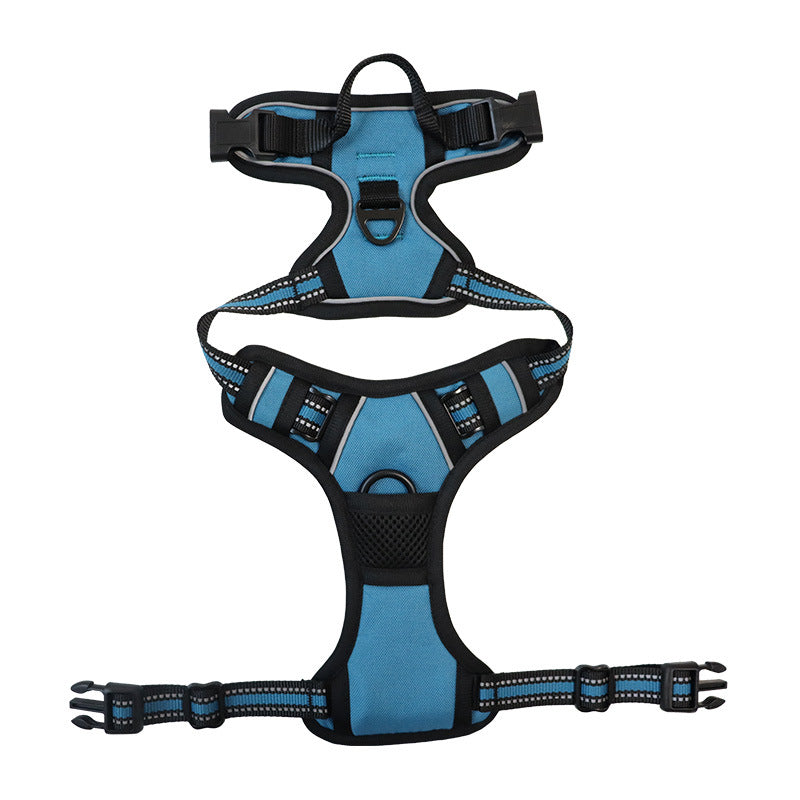 3-in-1 Pet Walking Kit | Bowlift