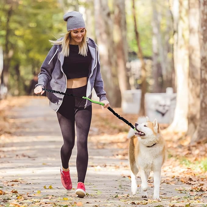 BowLift | PawsFree Pro – Enjoy stress-free walks with your dog